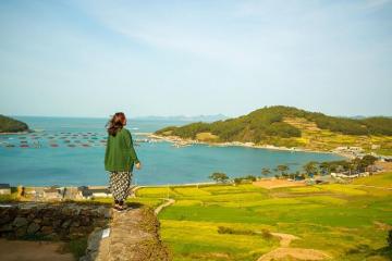 Đến đảo Cheongsando Hàn Quốc ‘sống chậm’, tung tăng check in những đồng hoa cải rợp sắc vàng