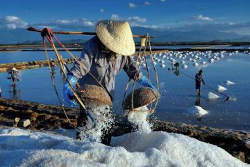 Ruộng muối Hòn Khói Nha Trang - nét đẹp dung dị nơi làng chài bình yên