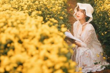 Hóa thành ‘nàng thơ, chàng thơ’ trong những vườn hoa cúc ở Việt Nam 