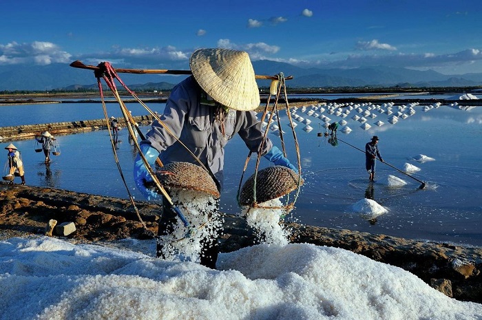 Vẻ đẹp dung dị ấn tượng ở ruộng muối Hòn Khói Nha Trang 