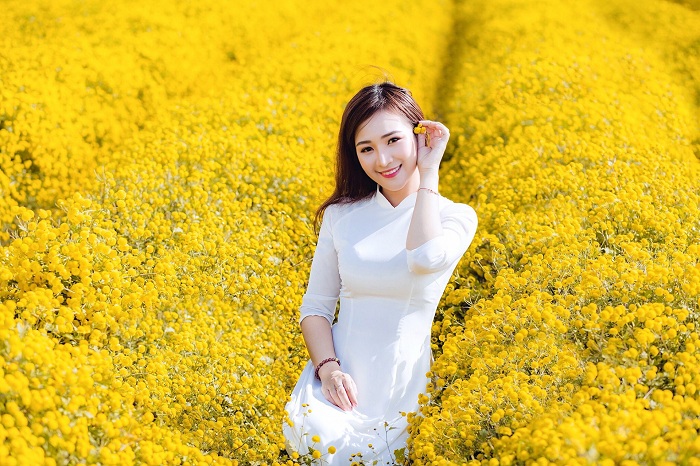 Ninh Binh Chrysanthemum Garden is a beautiful and famous chrysanthemum garden in Vietnam