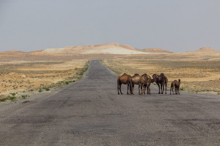 Sa mạc Karakum là một địa điểm du lịch Turkmenistan