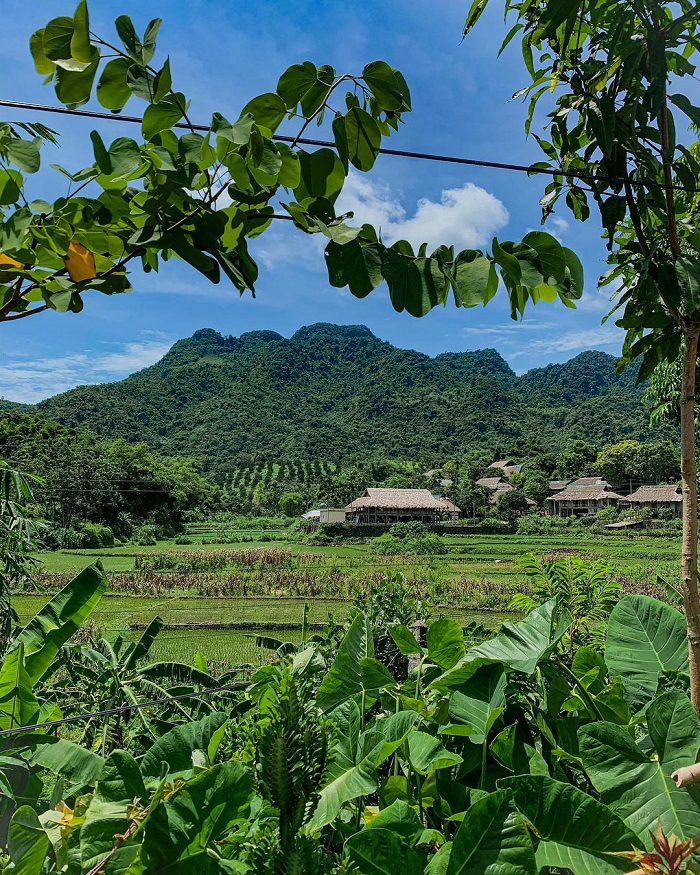 Giang Mỗ là bản làng đẹp của người Mường có cảnh sắc xanh mát