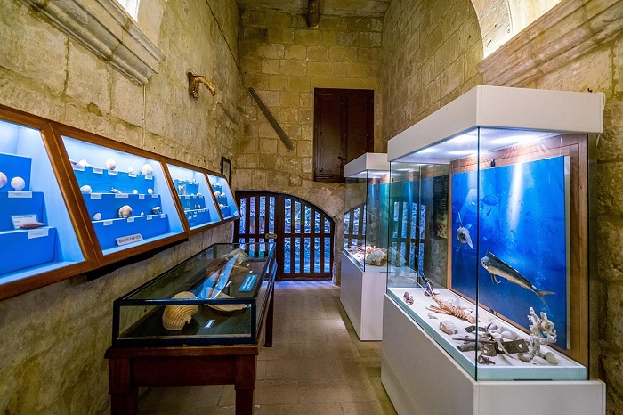 Bảo tàng Khoa học Tự nhiên là điểm du lịch lân cận khu phố Kasbah des Oudaias