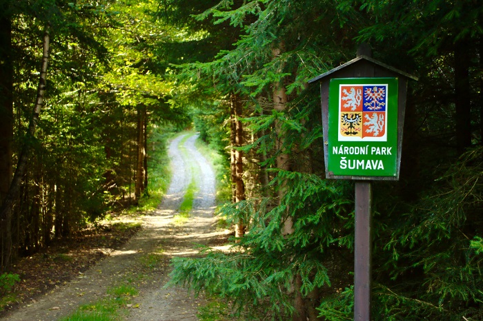 Con đường dẫn vào vườn quốc gia Sumava Séc