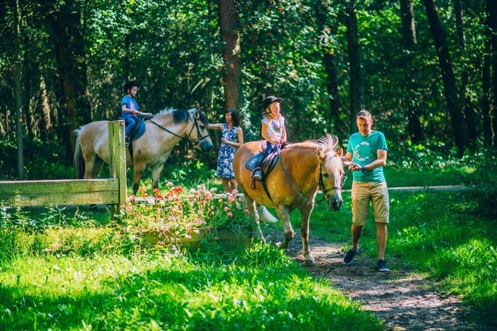 Cưỡi ngựa ở vườn quốc gia Hoge Kempen