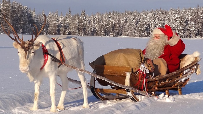 Cưỡi tuần lộc là một trong những truyền thống Giáng sinh ở Phần Lan 
