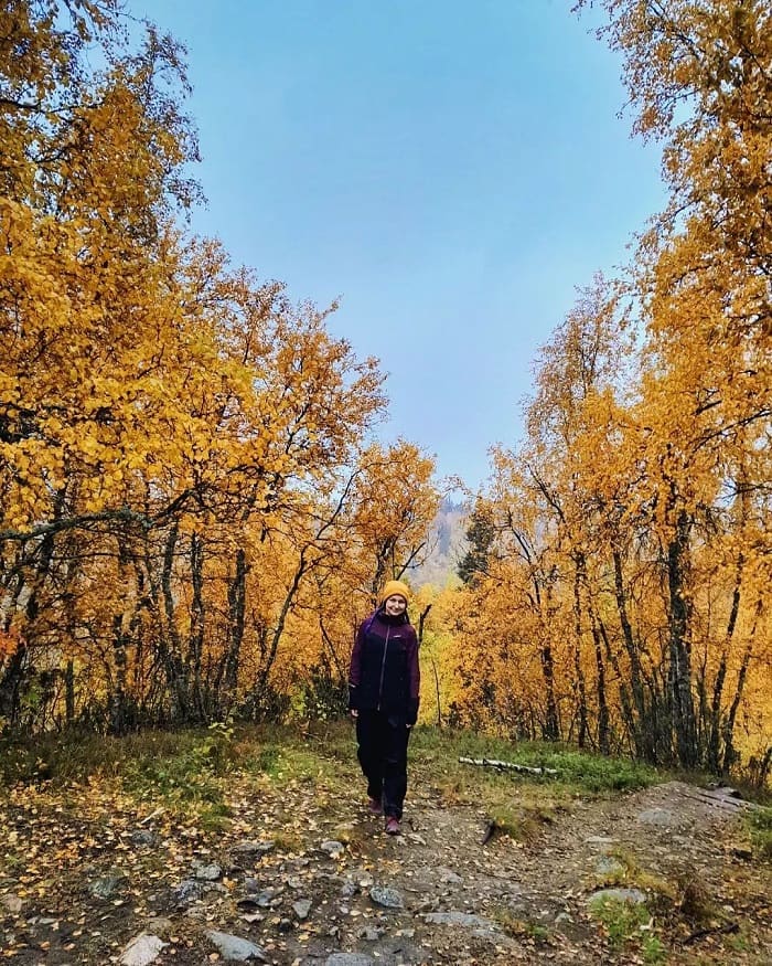 Mùa thu ở vườn quốc gia Lemmenjoki