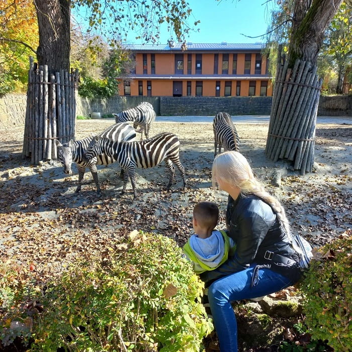 Tham quan sở thú Safari Park Dvur Kralove