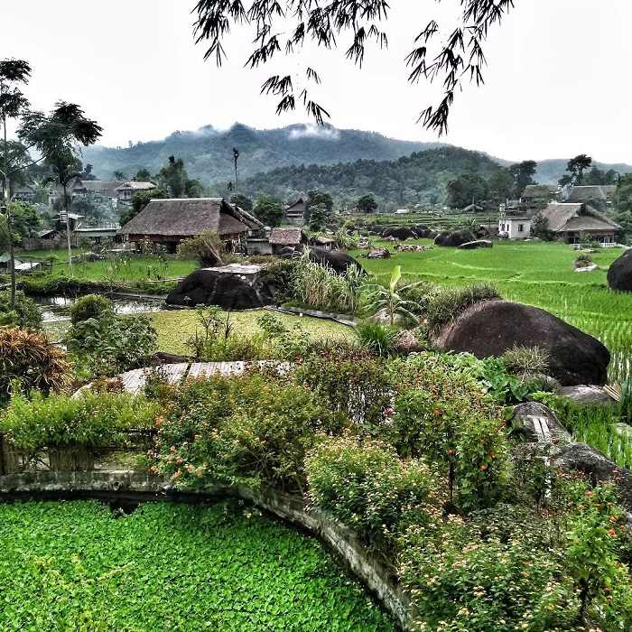 Thôn Nà Thác Hà Giang với ruộng lúa, núi rừng xanh ngát
