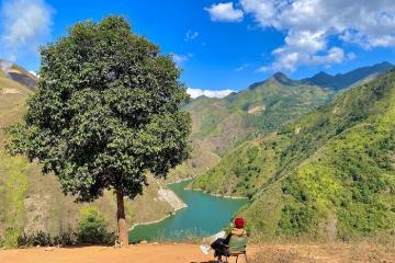 Sống ảo ở cây cô đơn Tà Xùa – nơi có view check in ‘đắt giá’ bậc nhất Sơn La 