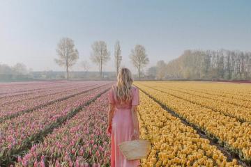 Đủ sắc màu tại vườn Keukenhof - vườn hoa lớn nhất thế giới ở Hà Lan