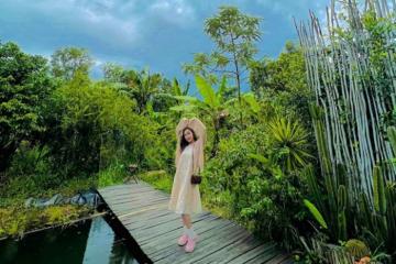 Khu du lịch sinh thái Hoa Rừng U Minh - ‘Đà Lạt’ thu nhỏ ở Cà Mau hút giới trẻ khám phá