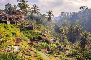 Ngất ngây với những điểm đến đẹp nhất Indonesia