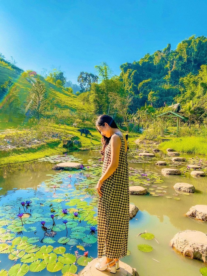 Thung Lũng Hoa Hồng Điện Biên thích hợp cho những kỳ nghỉ 