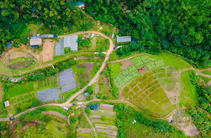 Trang trại hữu cơ Sen Vàng có khuôn viên rộng lớn