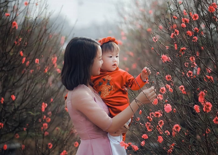 Vườn đào Nhật Tân là vườn hoa đẹp miền Bắc rất đẹp vào mùa xuân