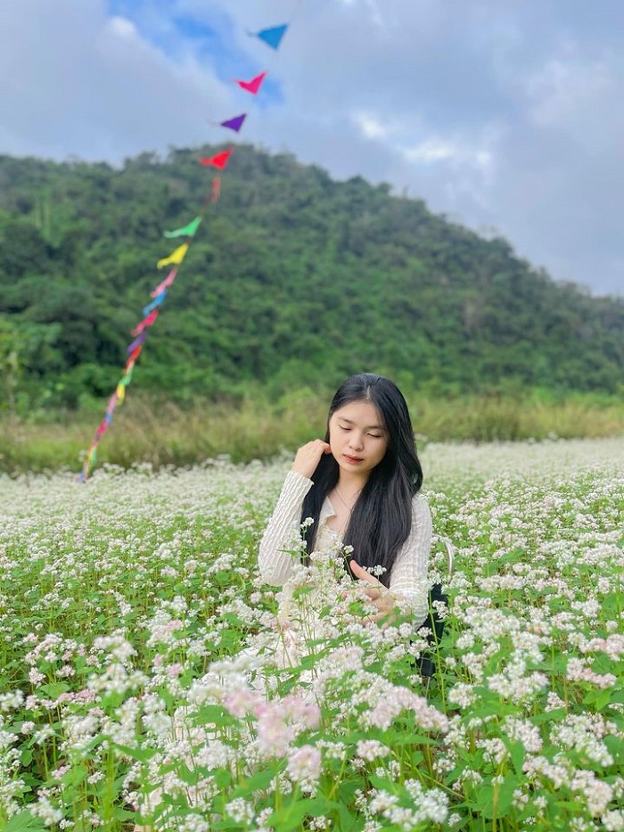 Vườn hoa tam giác mạch Đồng Lâm mang đến nhiều ảnh check in đẹp