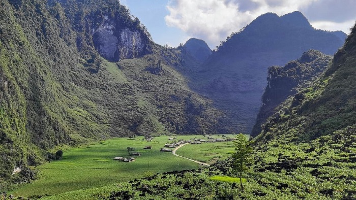 Xã Lũng Hồ Hà Giang nổi bật với gam màu xanh tươi mướt mát