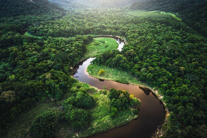 Rừng rậm Amazon là một địa điểm du lịch Nam Mỹ