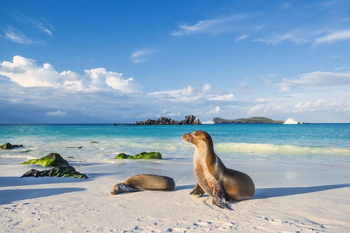 Vườn quốc gia Galapagos là địa điểm du lịch bền vững trên thế giới
