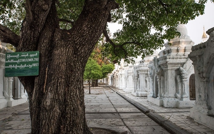 Khuôn viên khám phá chùa Kuthodaw