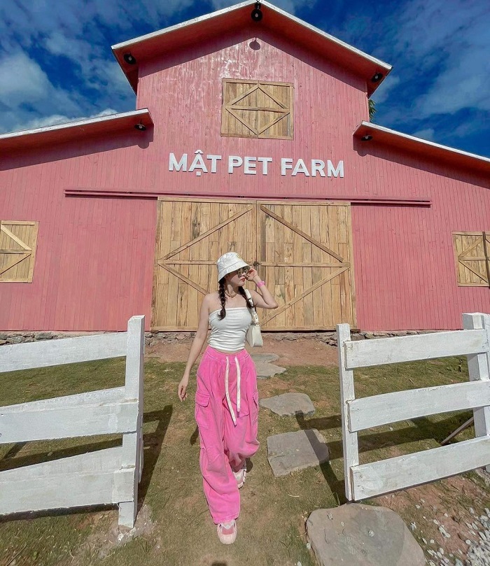 Mat Farm Moc Chau is a pet farm with many beautiful views