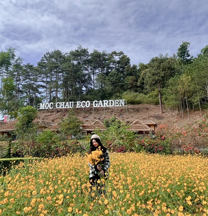 Notes when staying at Moc Chau Eco Garden