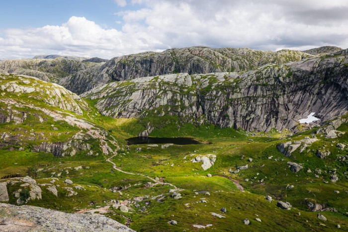 phông nền xanh tươi của cây cỏ trên sườn đồi thung lũng chân núi Kjerag