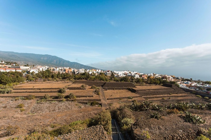 Vườn Bách thảo Tenerife là địa điểm du lịch bền vững trên thế giới