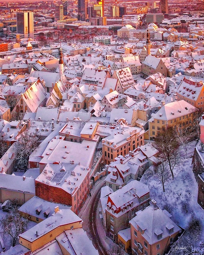 Thành phố Tallinn là thành phố tuyết đẹp trên thế giới với vẻ đẹp lãng mạn