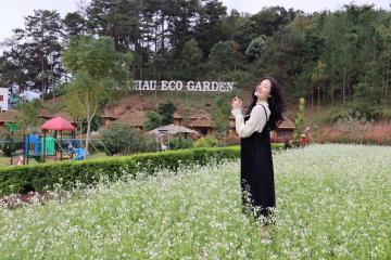 Đến Mộc Châu Eco Garden tận hưởng kỳ nghỉ thật chill cùng người thương