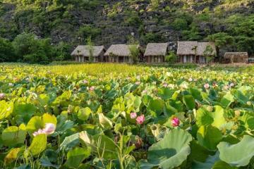 Mường Village Ninh Bình - chốn nghỉ dưỡng hoang sơ đẹp ngẩn ngơ giữa thiên nhiên