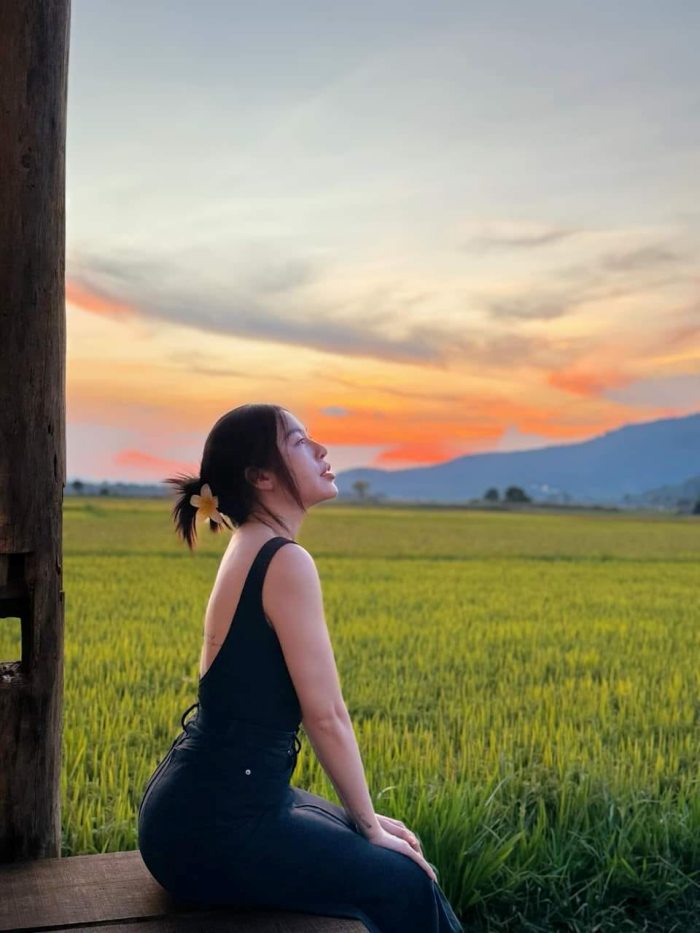 CÁNH ĐỒNG điểm ngắm hoàng hôn ở Gia Lai 