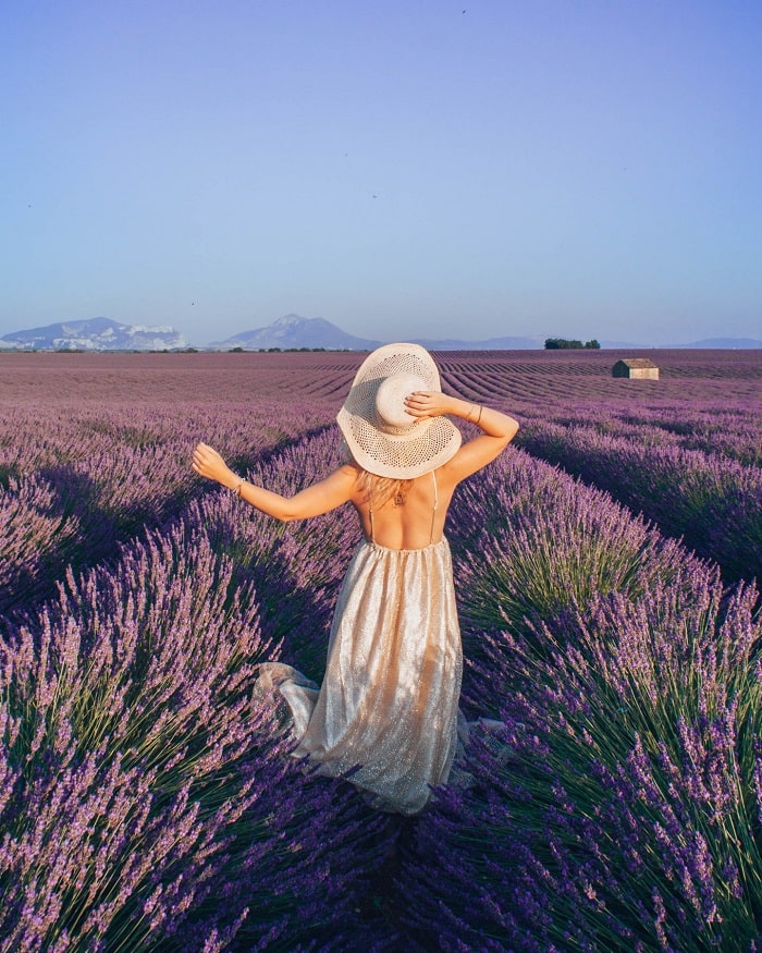 Khám phá cánh đồng hoa oải hương Provence Pháp