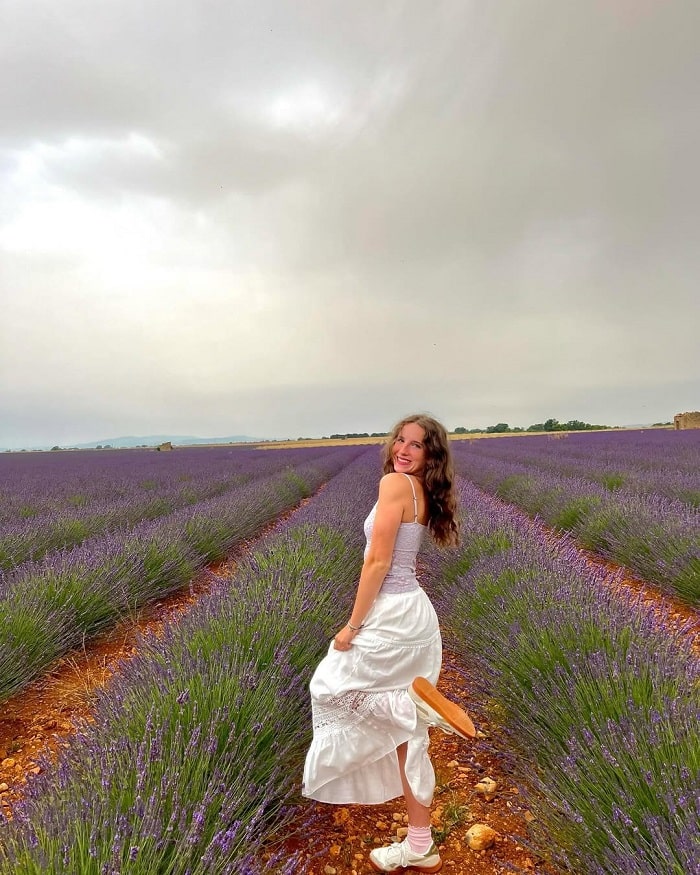 Vẻ đẹp cánh đồng hoa oải hương Provence Pháp