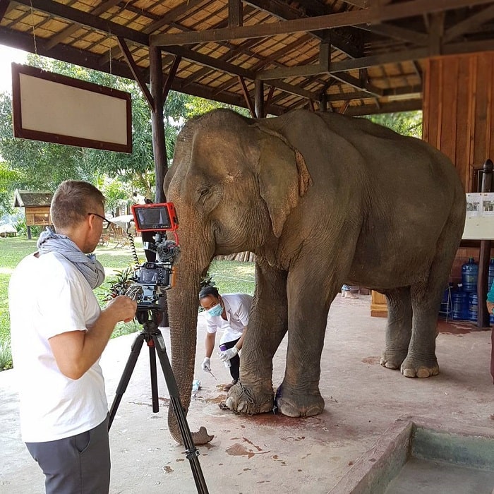 Chương trình học tập và giáo dục về voi là hoạt động nhất định phải trải nghiệm khi đến làng Voi Luang Prabang