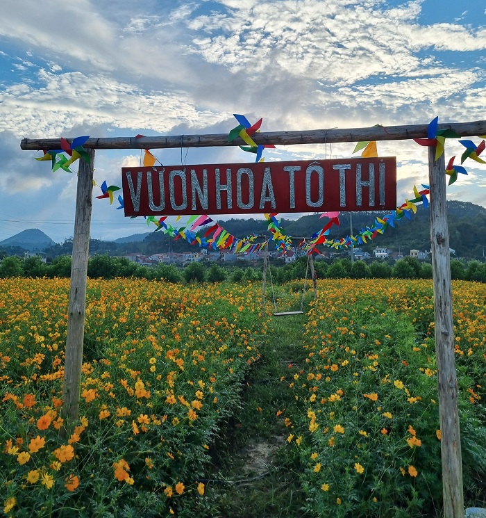 Vườn hoa Tô Thị Lạng Sơn góc nào cũng thơ