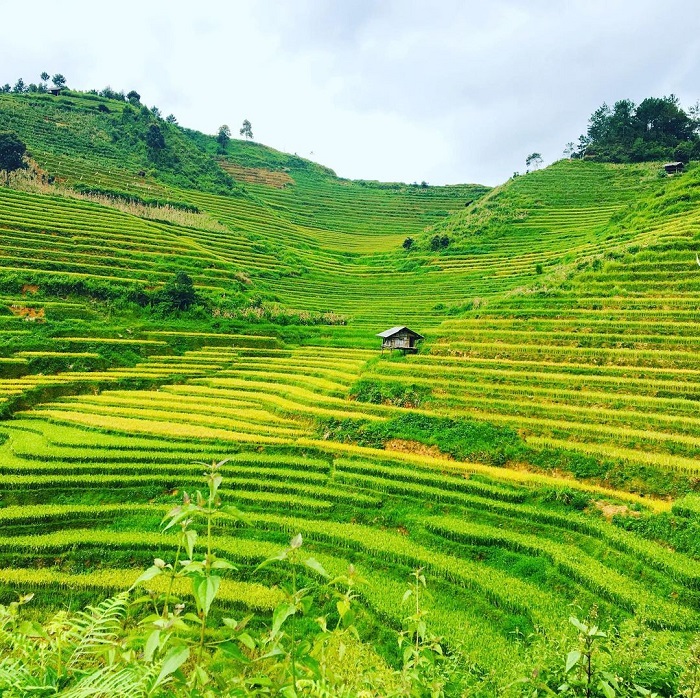 Xã Púng Luông Yên Bái là điểm đến hấp dẫn du khách