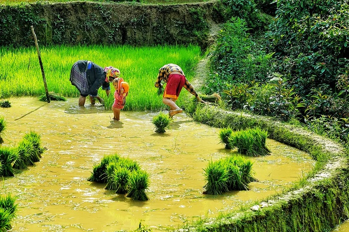 Xã Púng Luông Yên Bái là điểm đến mà bạn nên ghé thăm