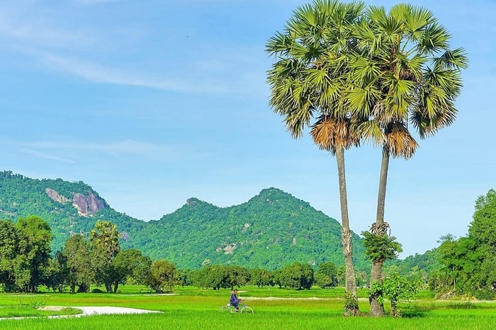 Tà Pạ là một trong những cánh đồng lúa đẹp nhất Việt Nam ai cũng nên một lần ghé thăm