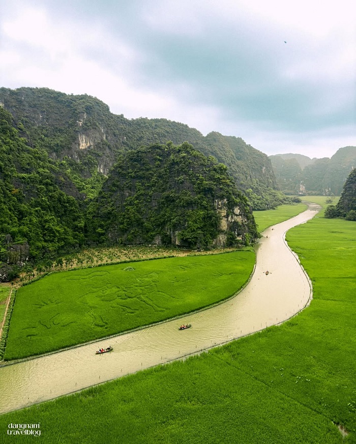 Tam Cốc là một trong những cánh đồng lúa đẹp nhất Việt Nam mà bạn nên khám phá