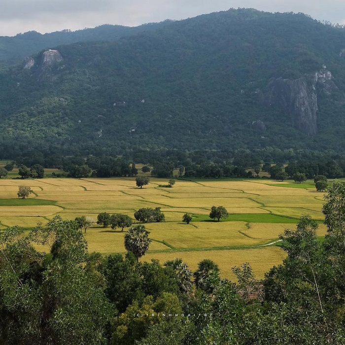 Tà Pạ là một trong những cánh đồng lúa đẹp nhất Việt Nam mà bạn không thể bỏ qua