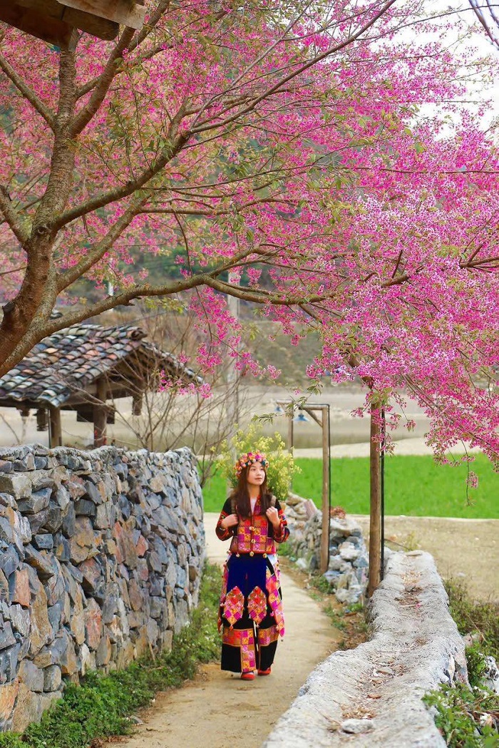 Lưu ý khi khám phá homestay Lũng Cú Lake View