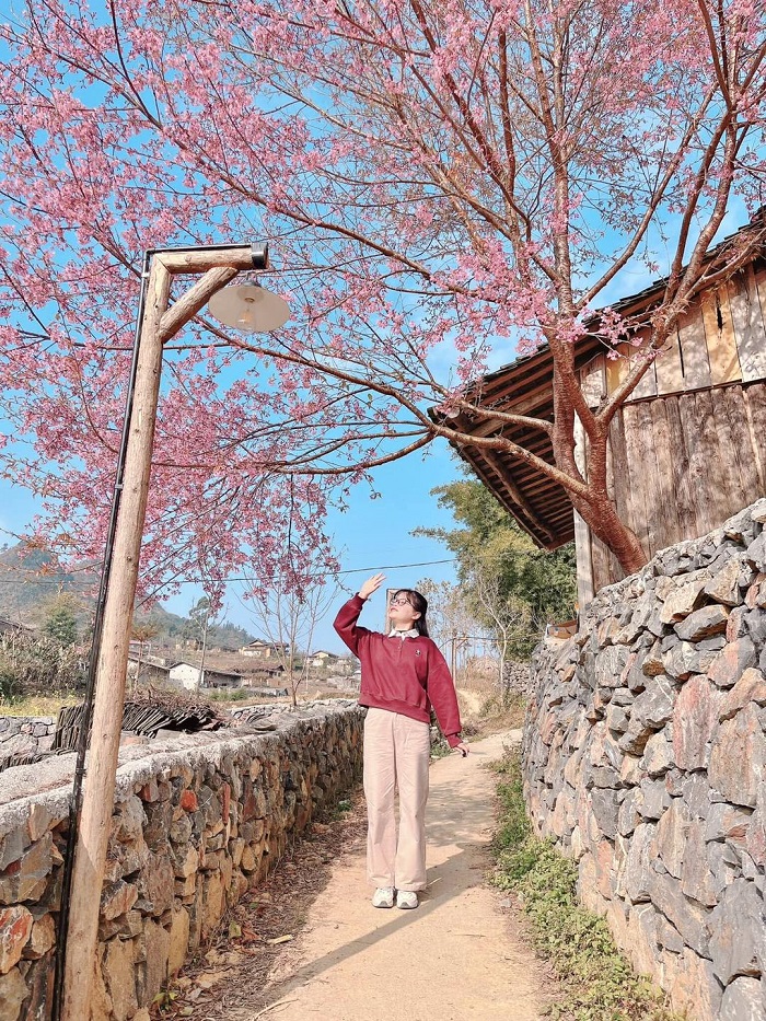 Homestay Lũng Cú Lake View là chốn dừng chân vô cùng xinh đẹp