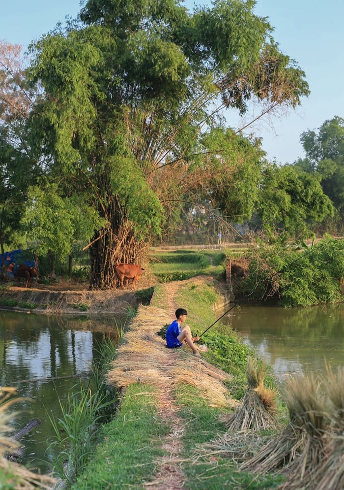 làng Sấu Bắc Giang - đường đi