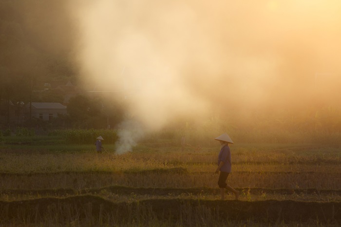 làng Sấu Bắc Giang - mùa đẹp