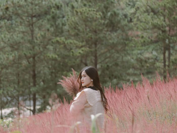  mùa cỏ lau hồng Đà Lạt đồi Mây