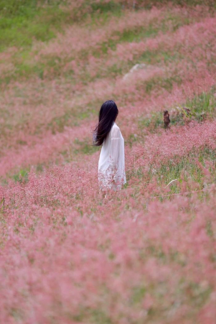  thời gian check-in trong mùa cỏ lau hồng Đà Lạt 