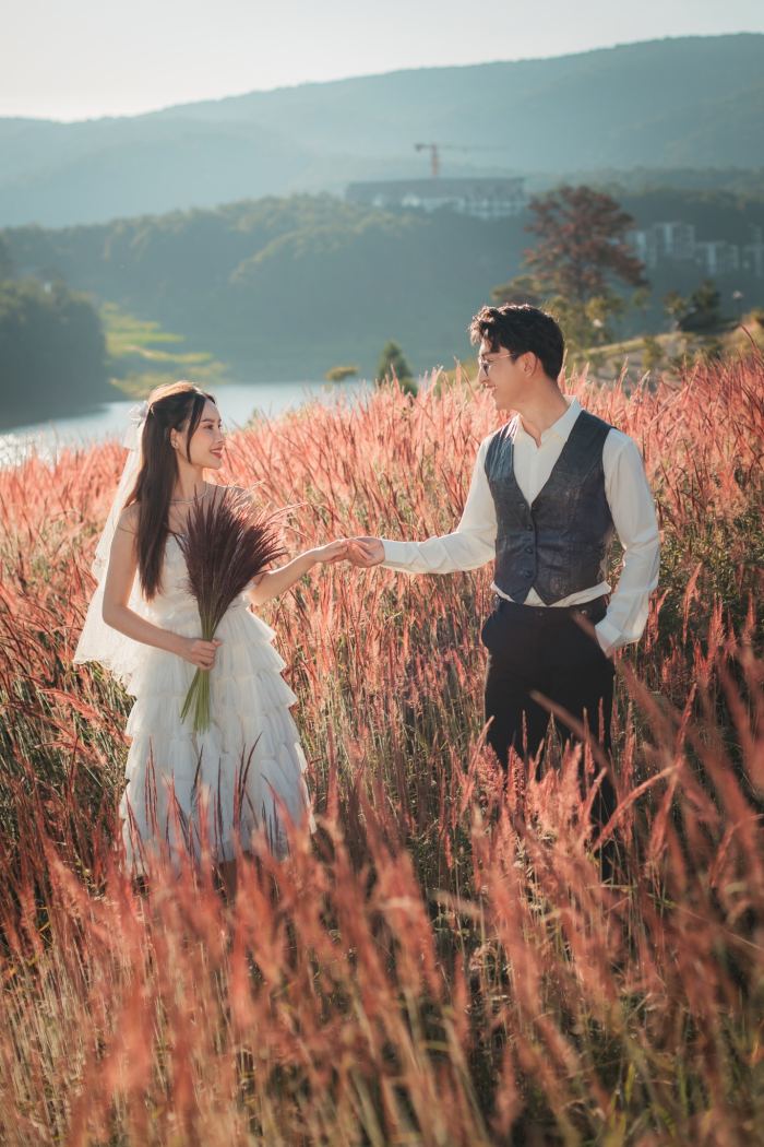  mùa cỏ lau hồng Đà Lạt KDL Lavender